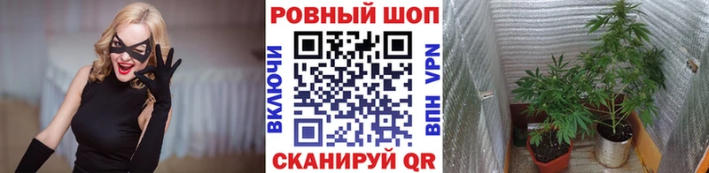 Продажа наркотиков Ржев Марихуана  Мефедрон  Alpha-PVP  ГАШИШ  Кокаин 
