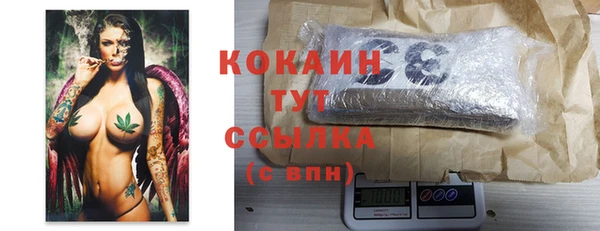 твердый Армянск